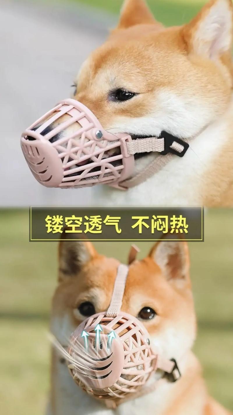 给狗狗戴嘴套的利弊分析和注意事项