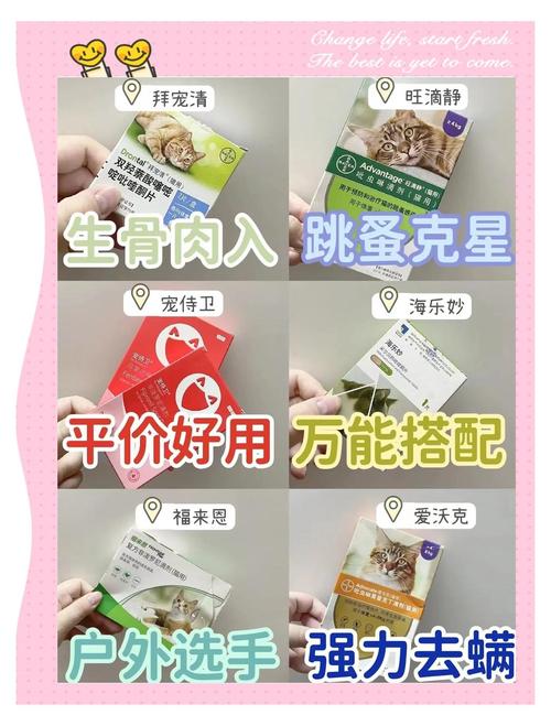 两个月的猫咪怎么驱虫