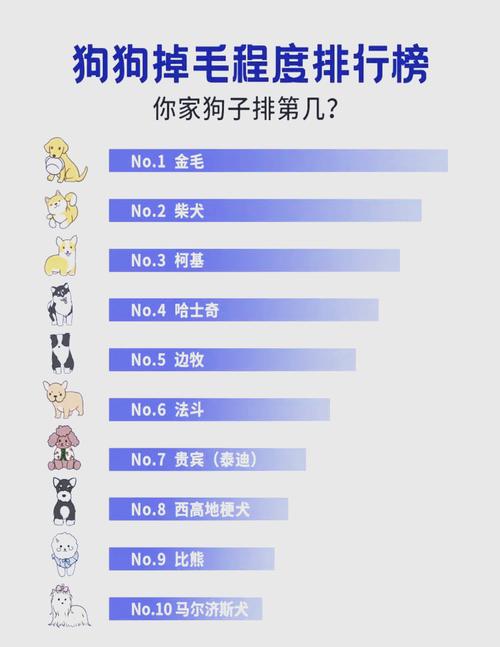 狗冬季很多掉毛是怎么回事