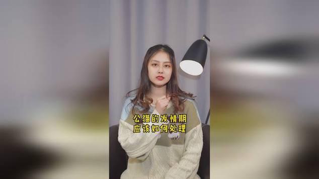 公猫一般什么时候发春