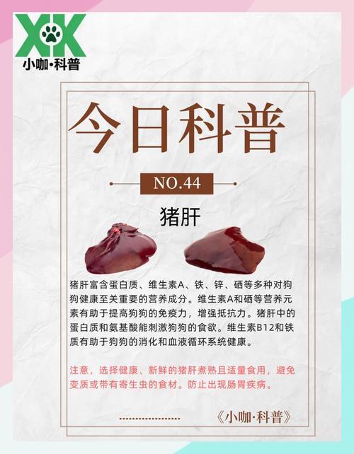 狗狗能不能吃猪肝