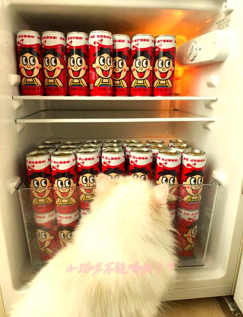 宠物猫可以喝旺仔吗?