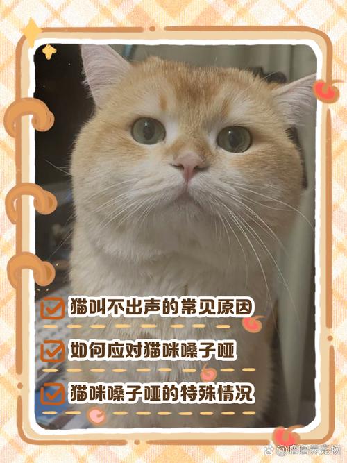 猫不会叫