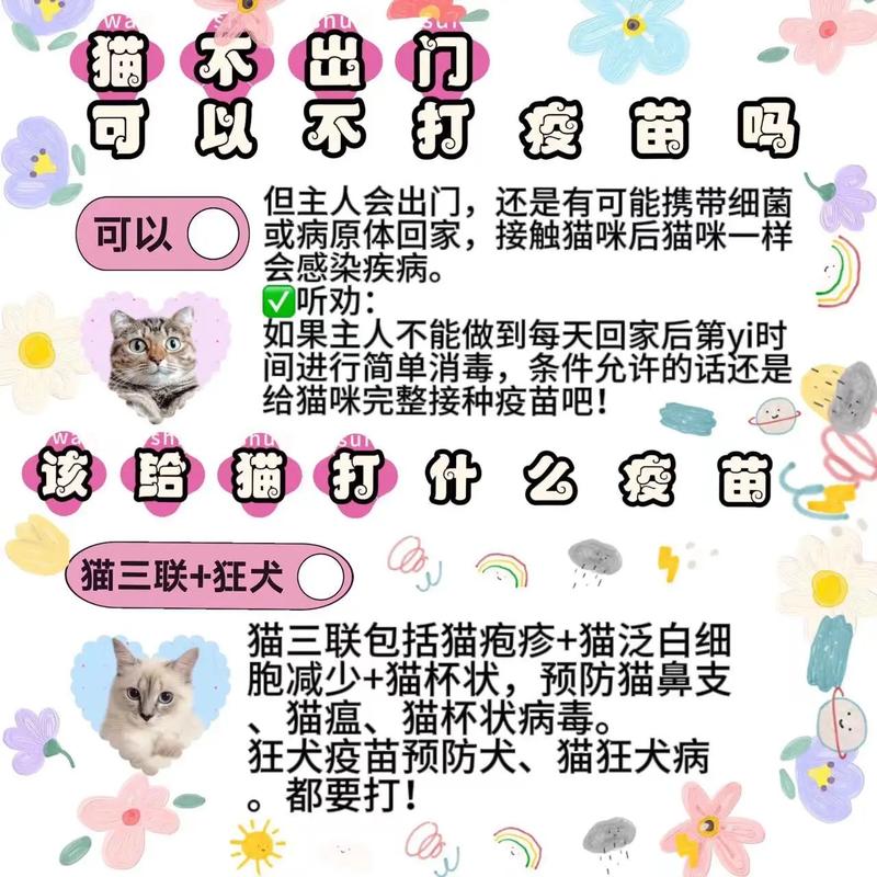 猫咪多大打疫苗?