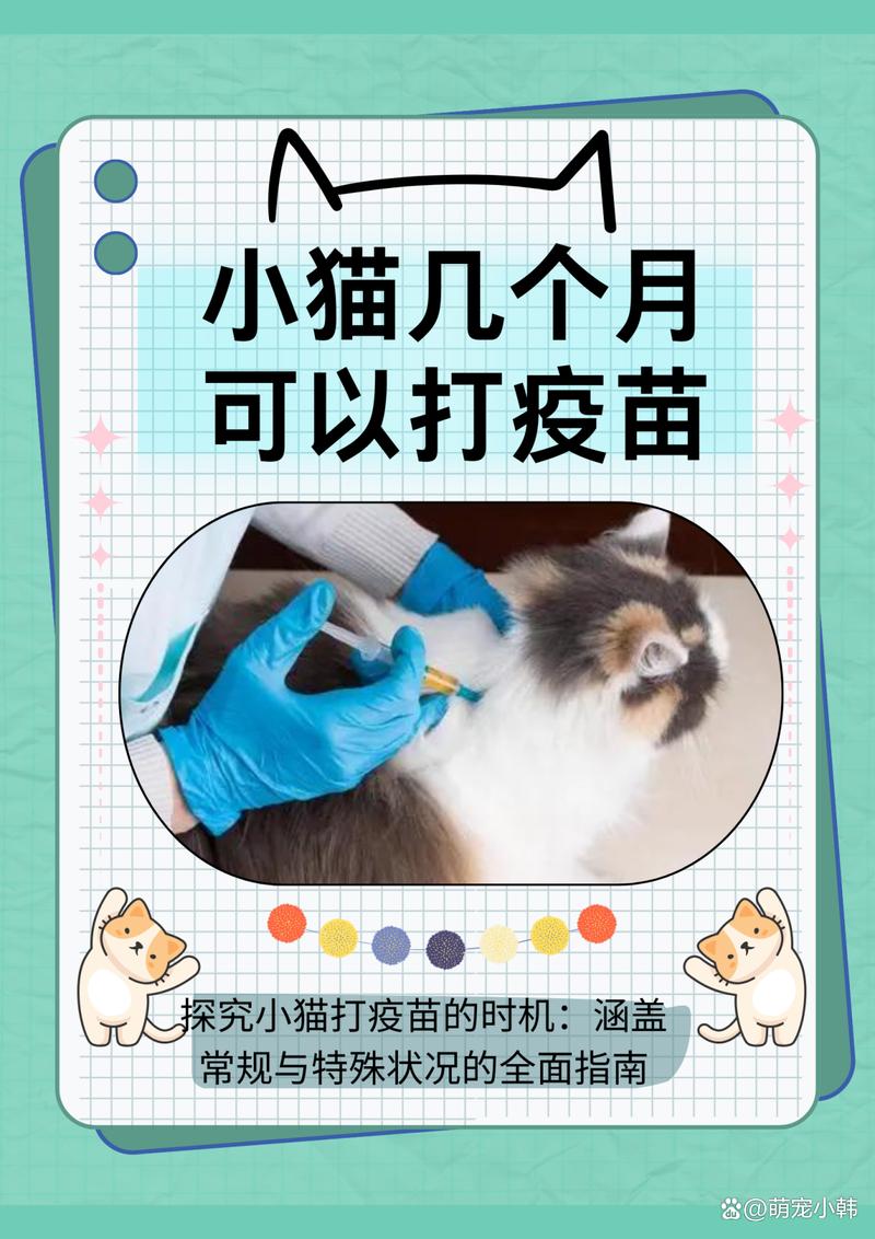 猫咪多大打疫苗