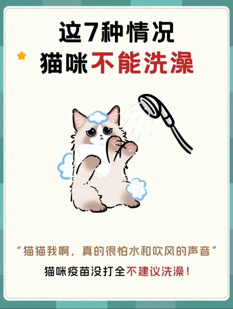 猫咪为什么不喜欢洗澡
