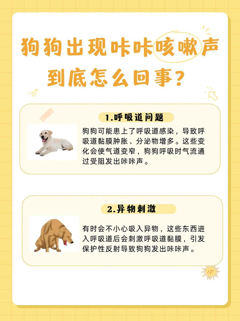 狗狗卡卡的咳嗽怎么办