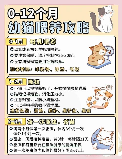 小猫要吃几个月奶