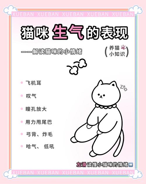 猫咪生气的声音