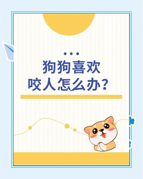 狗狗脾气不好总乱咬人该怎么教育?