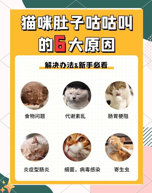 小猫肚子咕咕叫是怎么回事