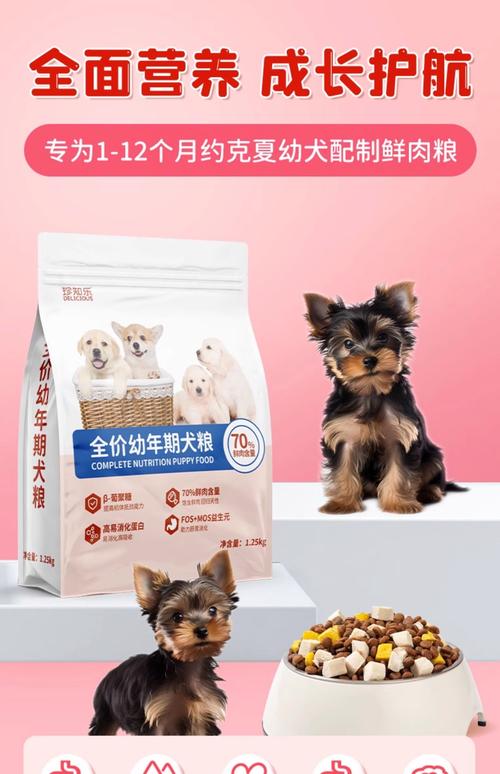 约克夏多大吃干狗粮