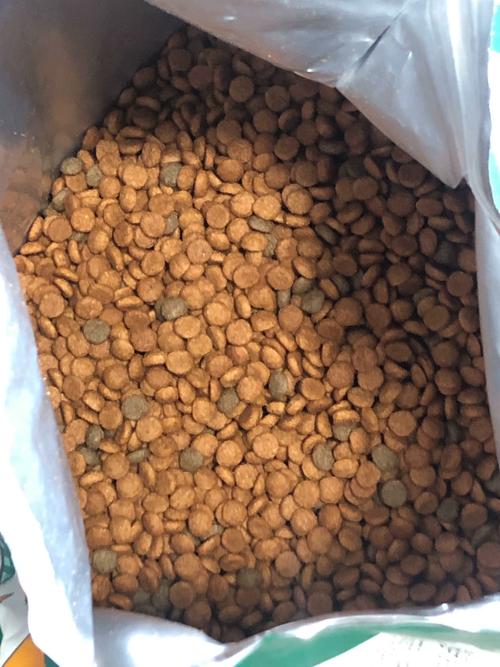 拉布拉多多大可以吃干狗粮