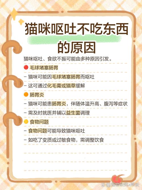 猫不吃东西还有点呕吐的原因及处理方法