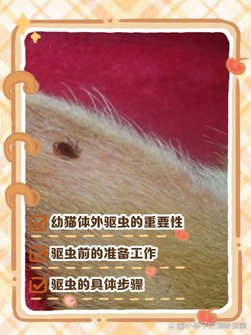 猫咪驱虫是长条状红色虫子是什么虫子