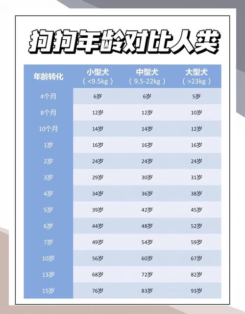 8种“长寿狗”,最长能活20年,养到就偷乐吧!