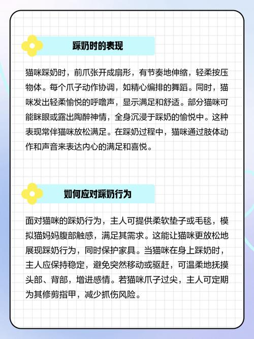 猫咪为什么喜欢踩奶