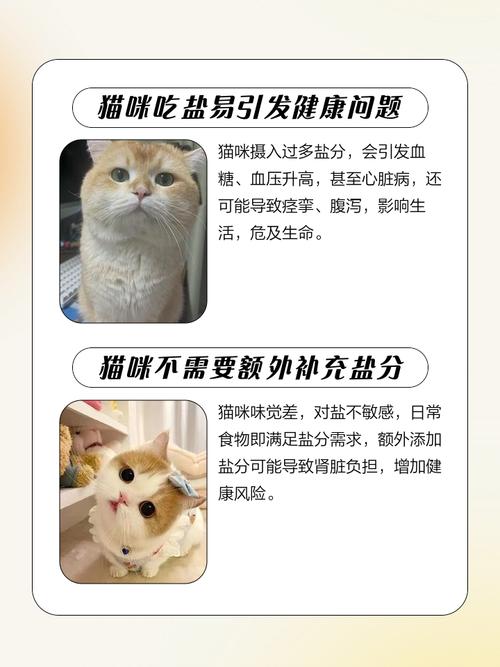猫咪吃盐了会怎么样?