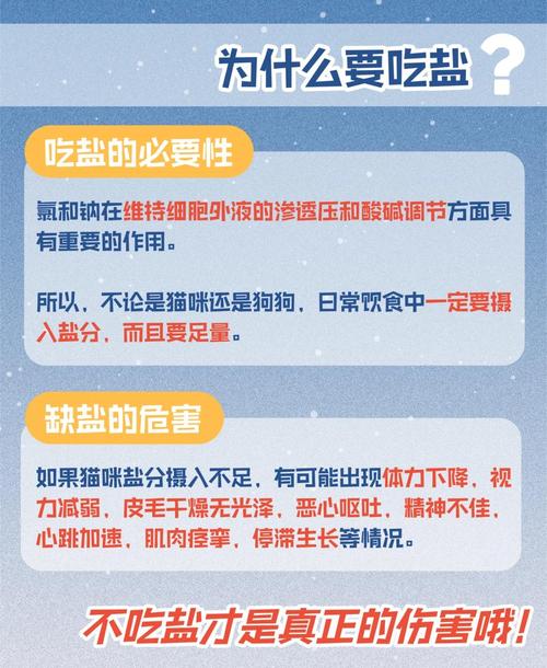 猫咪为什么吃咸东西