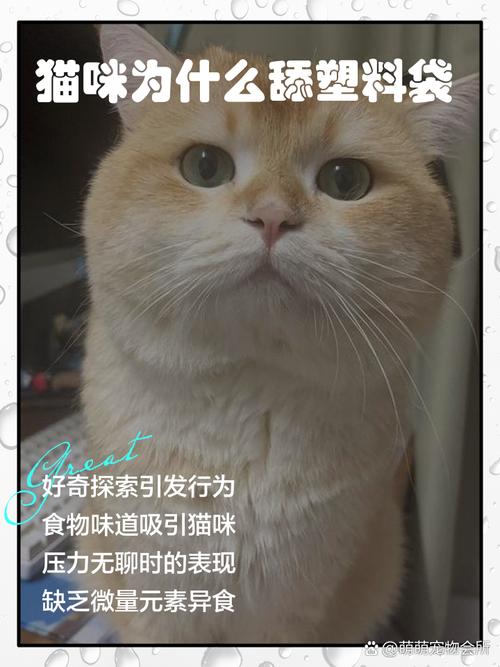 一个月小猫能吃咸的吗?