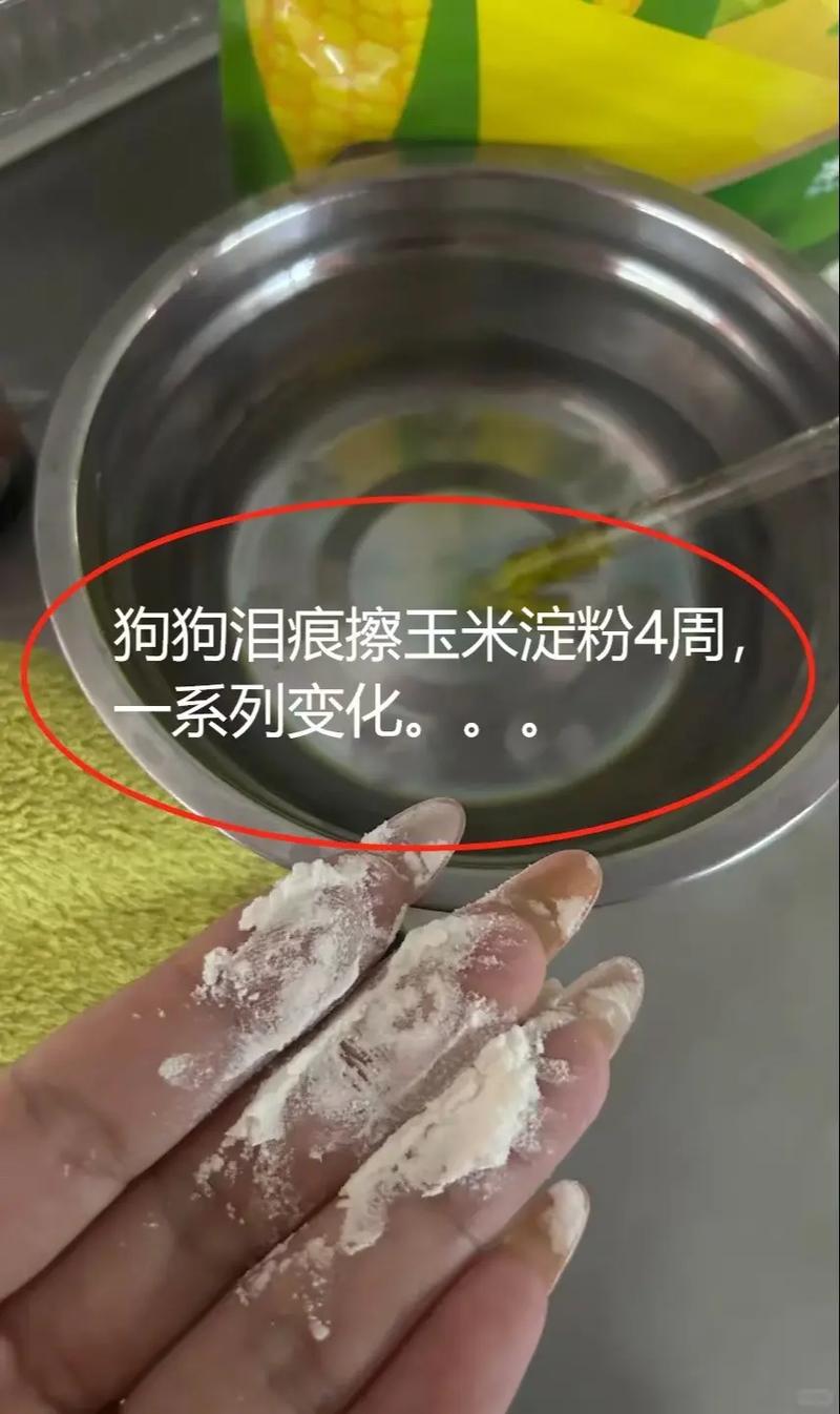 狗狗淀粉吃多了会怎么样?