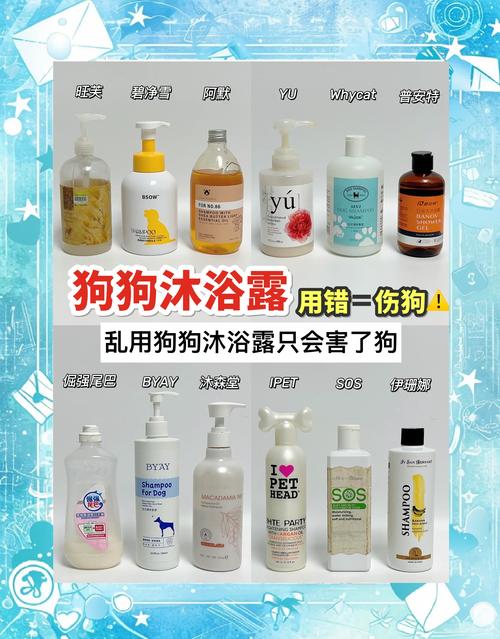给狗狗洗澡用什么东西?