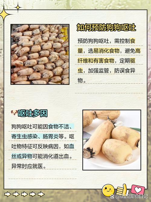 狗狗为什么爱吃藕