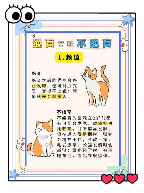 猫咪什么时候做绝育好?猫错过最佳时间还要绝育吗