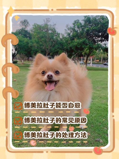 狗狗拉肚子几天能好