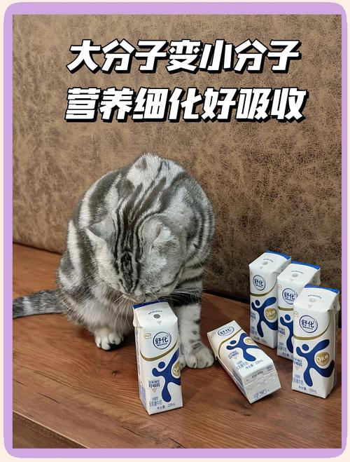 猫咪闭尿可以喝舒化奶吗