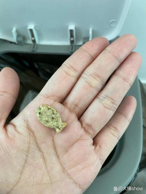 猫吃了很多猫薄荷饼干会怎么样?