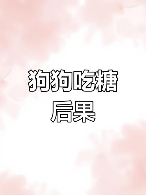 狗狗偷吃了很多糖