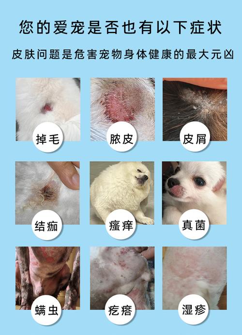 狗狗长癣用什么药效果好