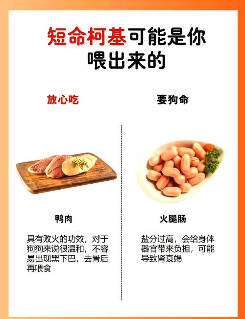 狗可以吃八宝粥吗?