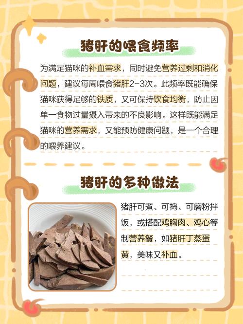 猫生孩子能不能吃猪肝