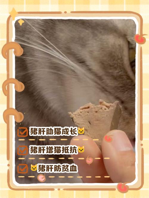 猪肝怎样处理才能喂给布偶猫吃?