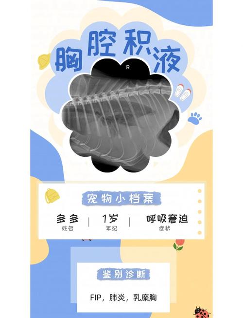 猫胸腔积液会不会自愈