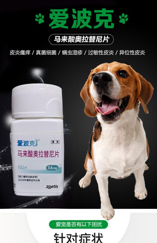 狗狗尿道发炎吃什么药比较好