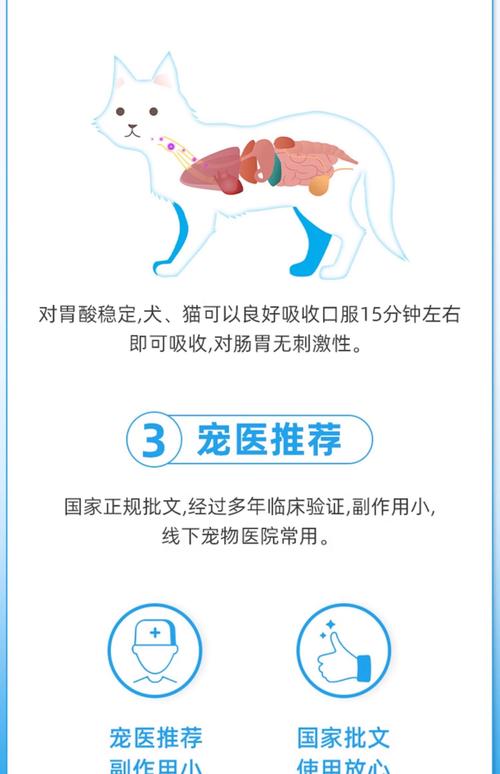 狗狗手术后吃什么消炎药比较好