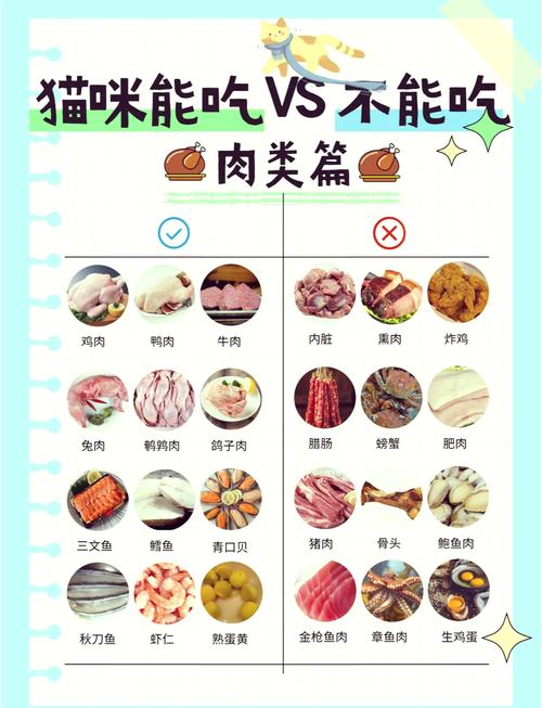 四五十天的猫咪吃什么