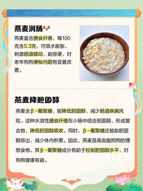 狗狗可以吃燕麦片吗