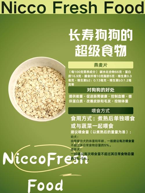 泰迪狗最爱吃的10种食物