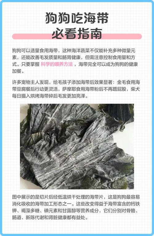 给狗狗吃海带的好处及方法
