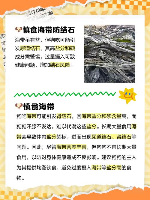 狗狗不舒服可以喂点海带汤吗