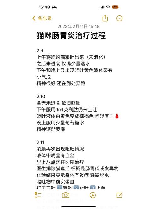 猫咪肠胃炎怎么办?