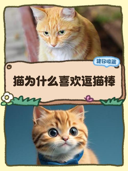 猫咪为什么对逗猫棒那么着迷?