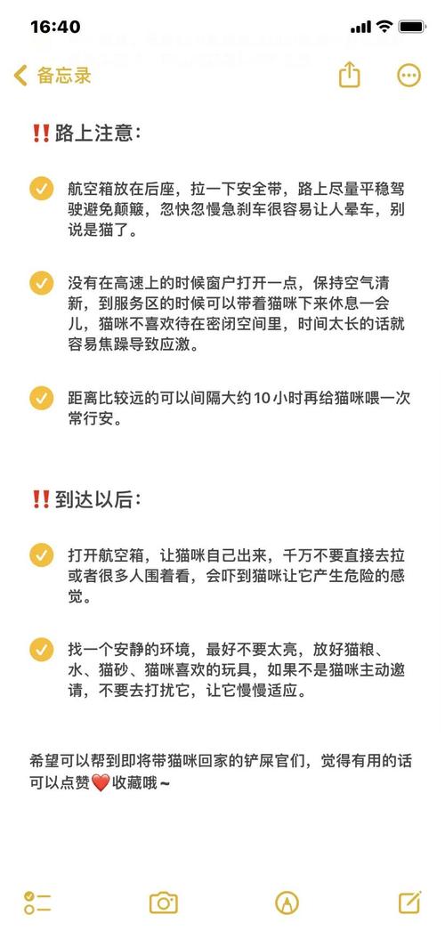 带猫咪出门怎样才能减少应激?