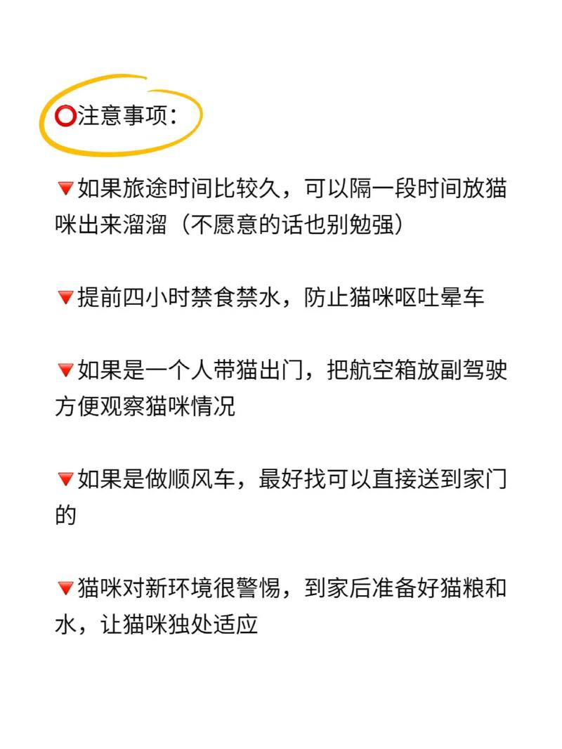 适宜猫咪的度假胜地