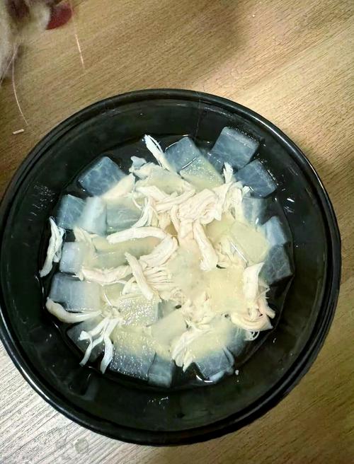 猫咪是否能喝鸡汤?