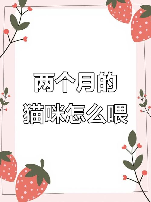 两个月的猫猫吃什么